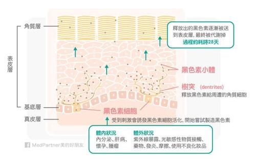  [快速]瞬间美白可能吗？戳破专柜快速美白的谎言！