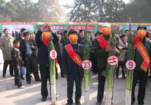  山东的蔬：浩克山东丨山东“巨型食物”之谜