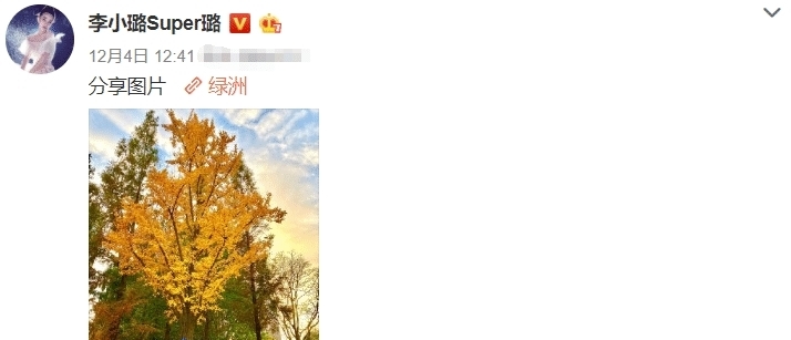 贾乃亮李小璐宣布