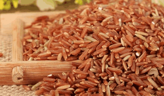 阿联酋将在10%沙漠种上中国海水稻, 袁隆平技