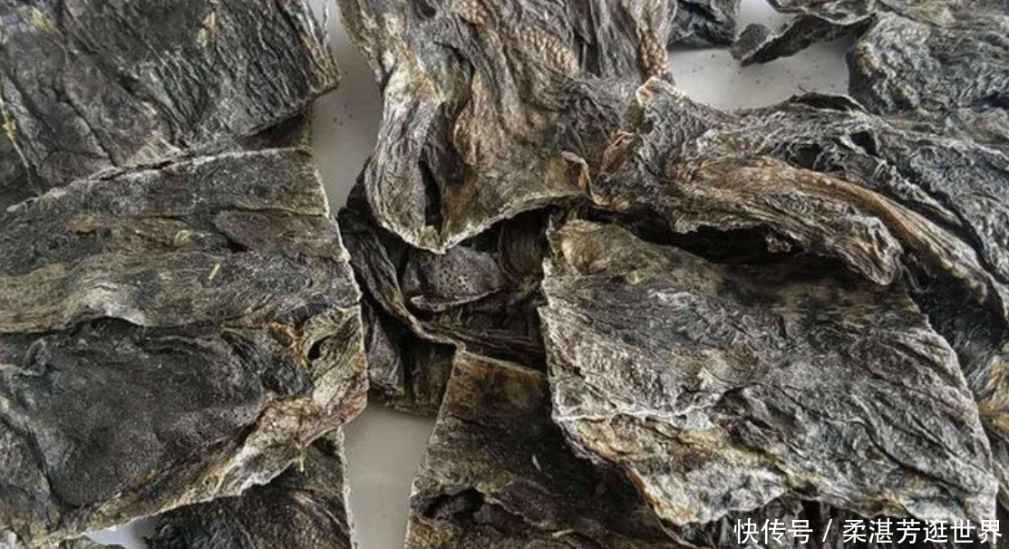  「除害」农田中除害小能手，现在要靠人工养殖，只因身怀珍贵药