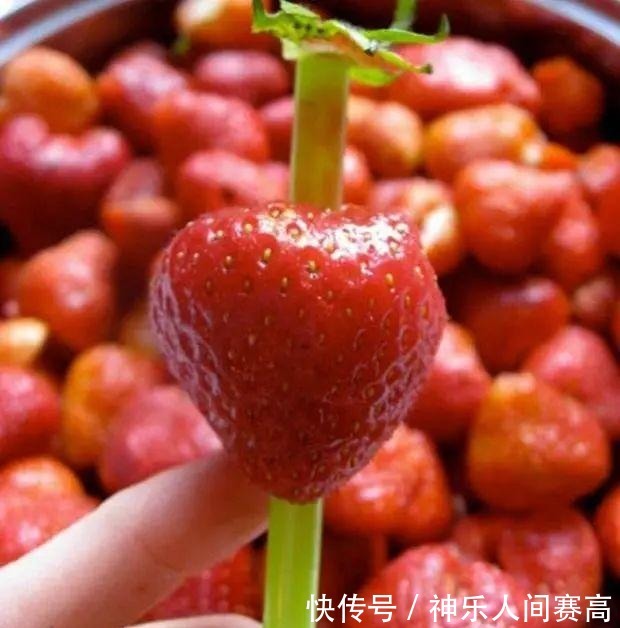  轻松|为啥别人带娃轻松有趣，你带娃叫苦连天？7个育儿小妙招就是答案