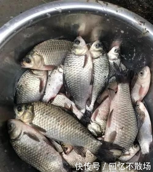 水质:刮什么风最好钓鱼和最难钓鱼?17年的经验,得出了这个结论