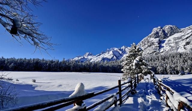 到玉龙雪山体验白雪皑皑的世界,雪峰连绵不绝