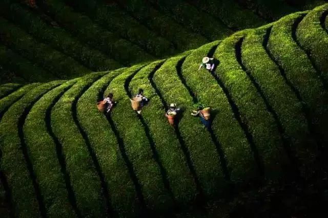 中国境内居然隐藏了一个旷世仙境，连外国人都被折服