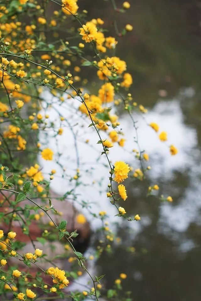 比真丝还滑、比纯棉还透气、比亚麻还凉爽的床品，真的存在!丨品