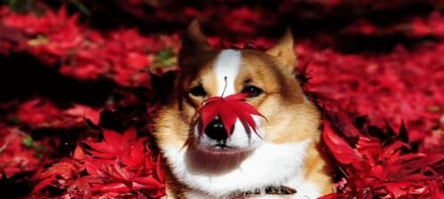 这条用时5天的自驾路线，你能从夏末一直看到初秋