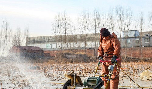  「水中」北方寒冬，挖藕的农民在零下十度的水里辛苦，令人敬佩