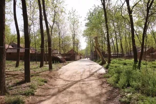 河南一村庄曾归河南、山东、安徽三省管辖，一家人三地户口