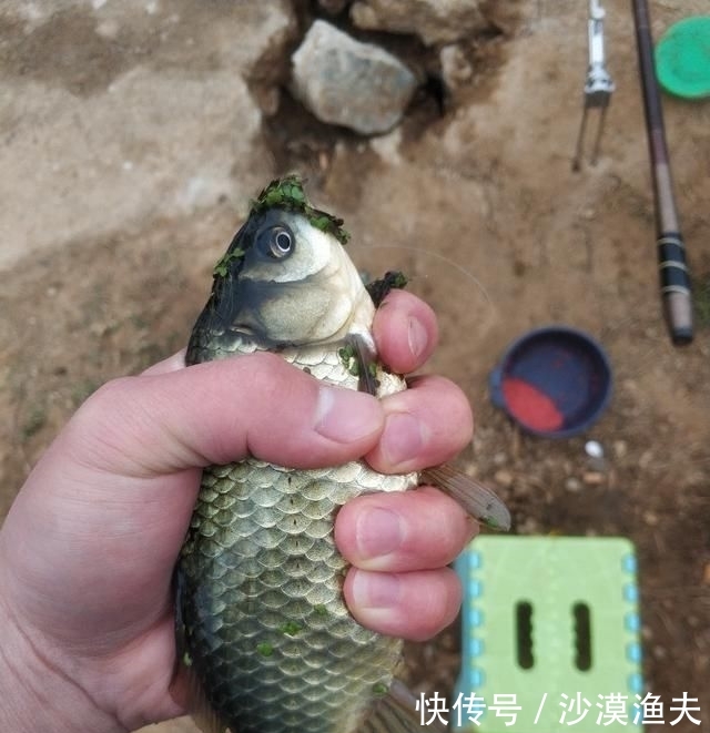  『立春后』立春后万物复苏，正是钓鱼的好时节