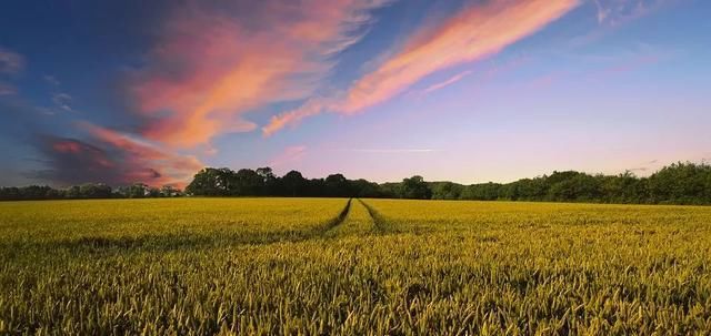  #补贴#2019粮食补贴标准出炉？两类人标准提高、三类农民不再有