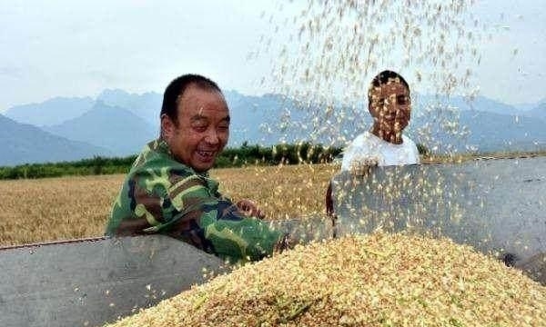 农村怪象，20多岁却一直没地种，去世20年还有地！专家：很合理！