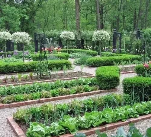  #接地#这样的私家小花园，才最接地气