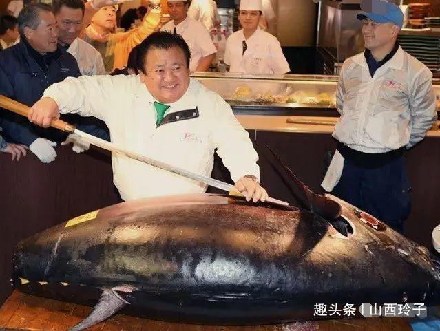  「金钱」世界上“最贵”的4种鱼，渔民只要收获1条，就“金盆洗