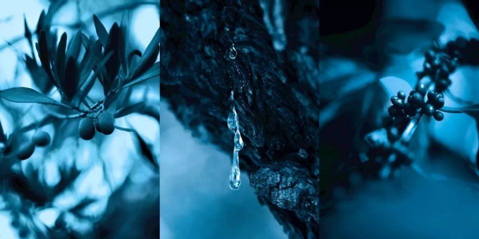 谁说夏季肌肤一定没活力?大表姐刘雯就有#蓝朋友#来助力!