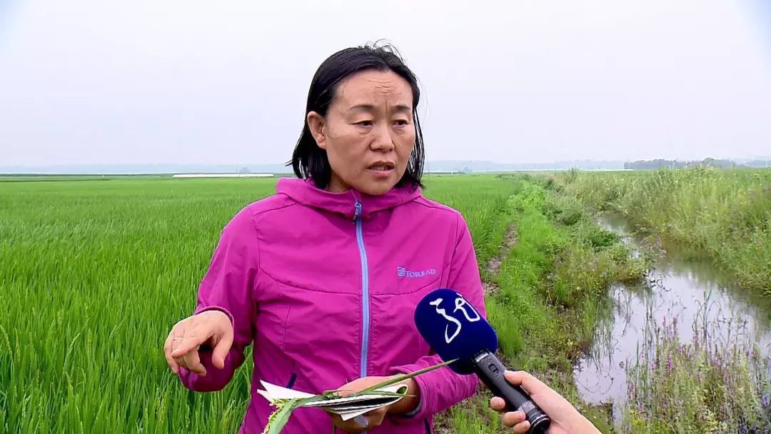 大暴雨正在赶来的路上！暴雨蓝色预警，还有你关心的农业生产……