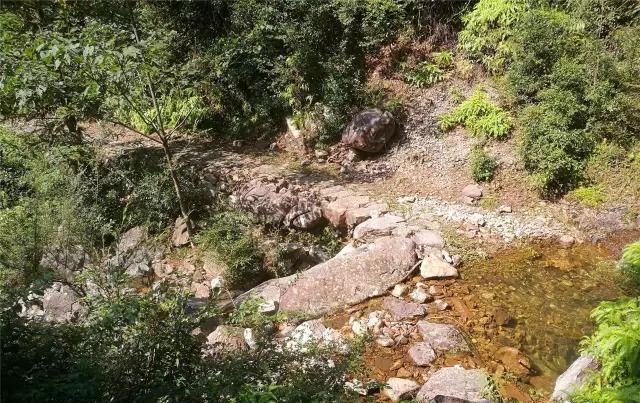  「大若岩镇」温州芙蓉岭古道，浙江省十大人文古道之一