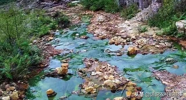 2019年，农村土地将会有两大补贴，最高金额可达每亩地1500元