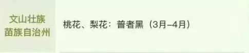 春季花开哪家强？云南16州市最美赏花点看过来！
