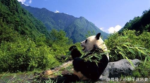 除香港、澳门外，中国还有一个特别行政区，地处西部，鲜为人知！