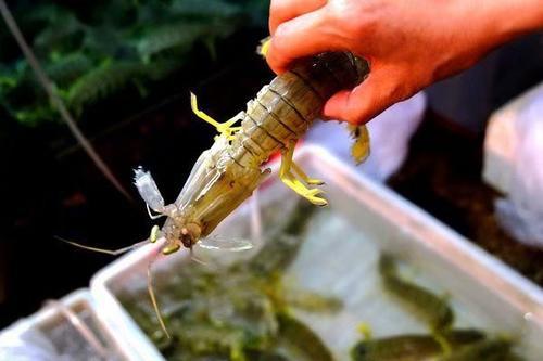 在三亚的碧海蓝天上我要飞得更高，看得更远