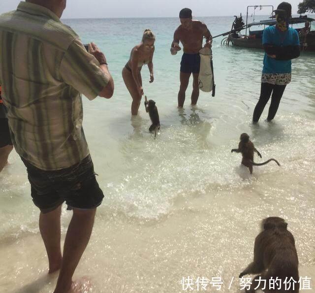 为什么大多数中国人宁可选择泰国也不去三亚?