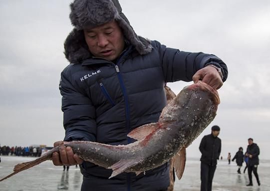 爱吃鱼的小伙伴看这里！东北人民的鱼上桌了！查干湖冬捕正式开始