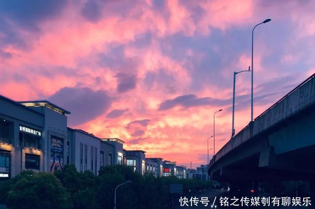 平均气温大于22℃:昨天,上海因为它登上热搜!美到窒息……