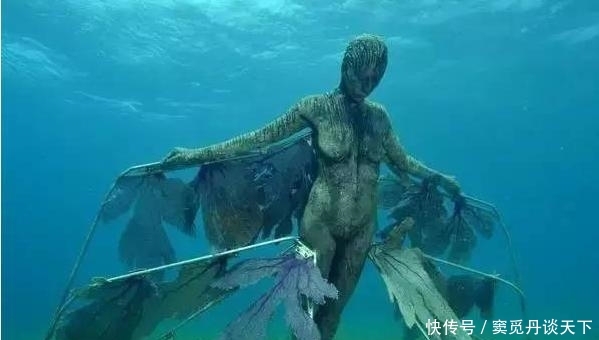 神奇的海底世界,壮观的雕塑千年不腐,至今科学家都无法解释