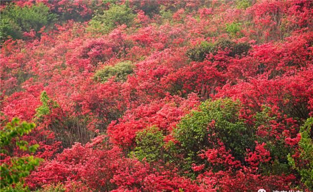 『枫树岭镇白马乳洞山』此景只应天上有!淳安这里美得“惊心动魄”……
