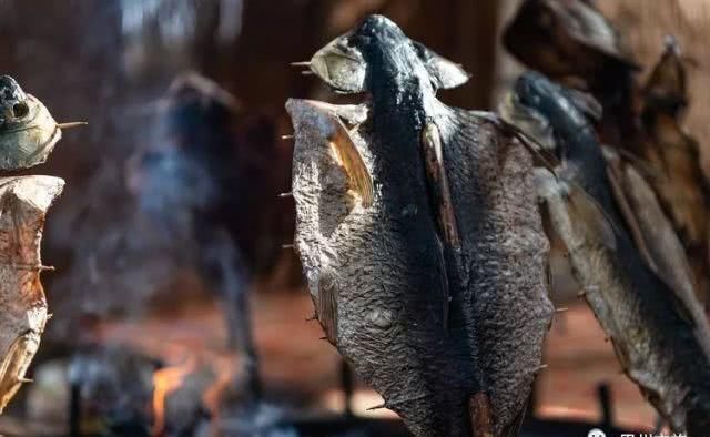 大美新疆，上眼胡杨