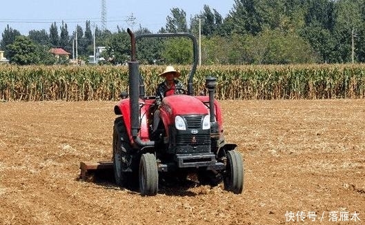  「显现」“秸秆还田”的弊端已经显现, 专家却默不作声, 农民也
