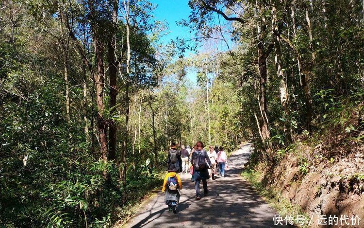 自驾游方便还是跟团游方便？