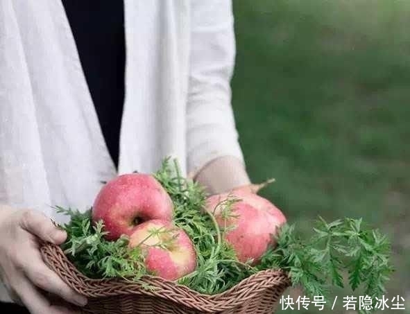  『治愈』辞职回乡下种菜的韩国“李子柒”不出镜，却治愈200万人