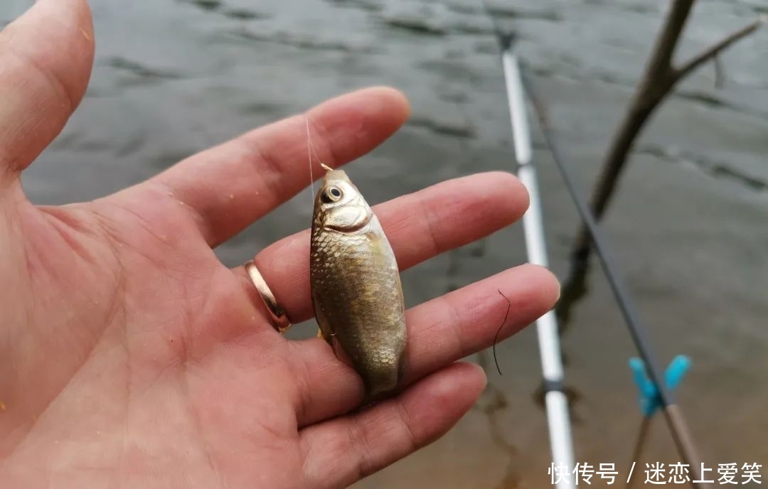  「新关东」野钓你最爱用哪种鱼钩？准备这3种钩型，足以应对80%的鱼情