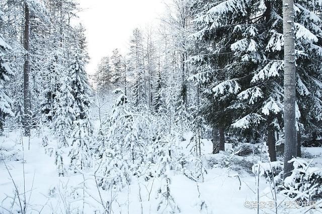 河南这三个地方 下雪了！是你的家乡吗？