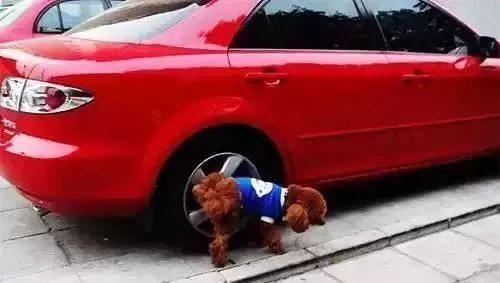 拒绝“三人成虎”,车探给你戳破6大汽车谣言,真相原来是这样!