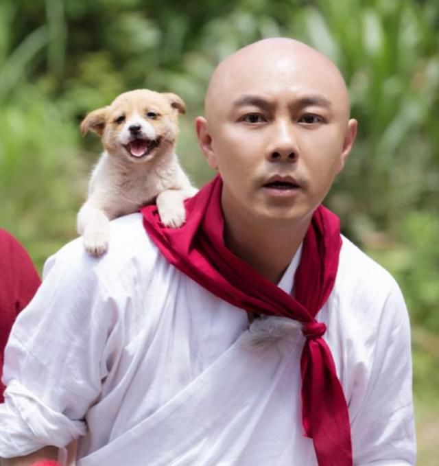 张卫健回应吸毒被抓，脱口而出四个字！难道曝光的图片是假的？