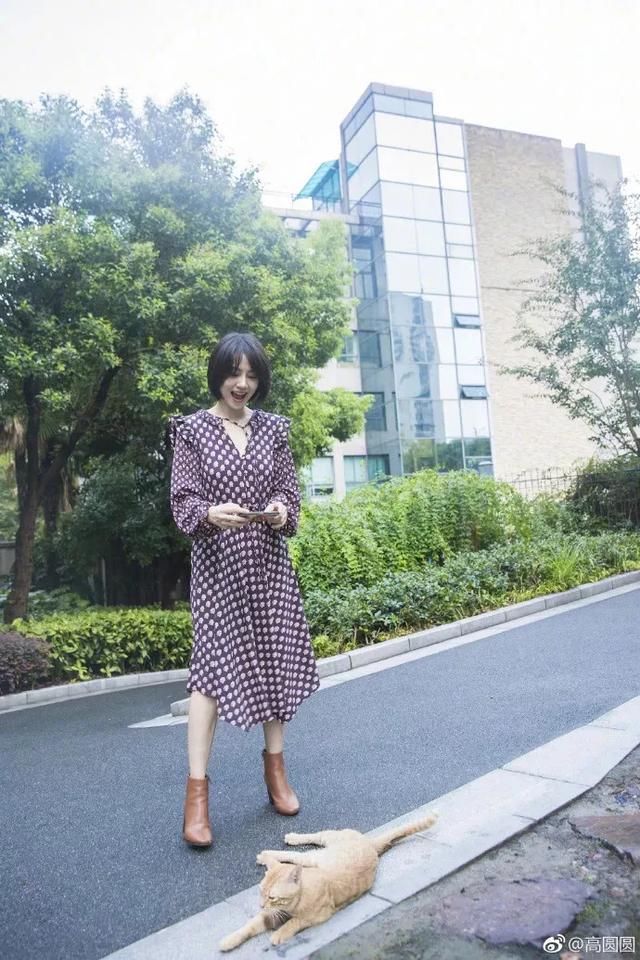 秋天这几款裙子美翻天，高圆圆、刘雯早就穿起来了！