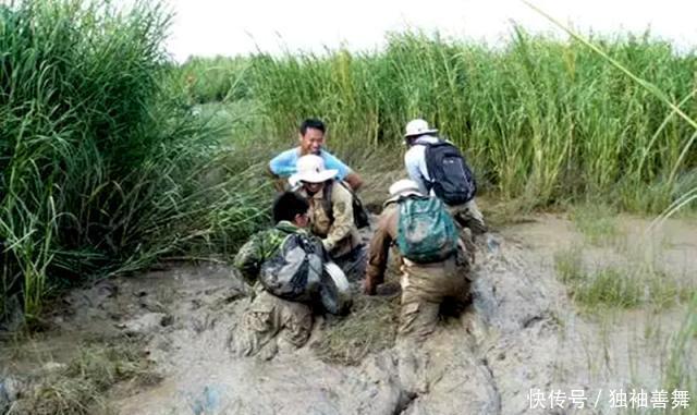  外来物种|“教授”好心从国外进口一种植物，如今已经泛滥成灾成为入侵物种！