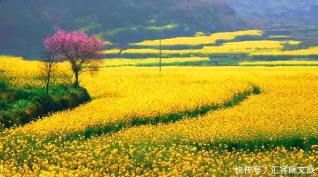 桂林的春天,已经把摄影师逼疯了,但大多数人去错了地方!