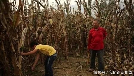  [农产品]2019年农村有两样东西最好扔了，抓到要罚款30万，你知