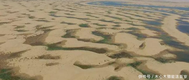 中国内蒙古发生奇迹将黄河的水引入沙漠之后，竟出现这种结果