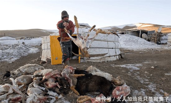  「差距」外蒙古与内蒙古牧民冬季生活的对比, 差距太大