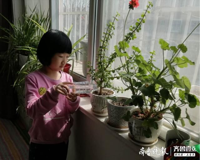 『接力』“绿色接力，吹响春天的号角”区二中胜园分校组织线上植树节活动
