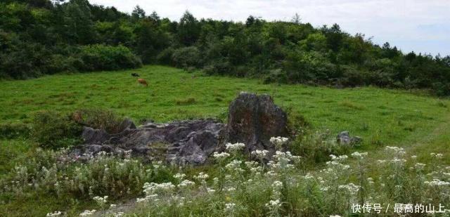 重庆这座大草原面积100000亩,号称江南的鄂尔多斯,收费0元