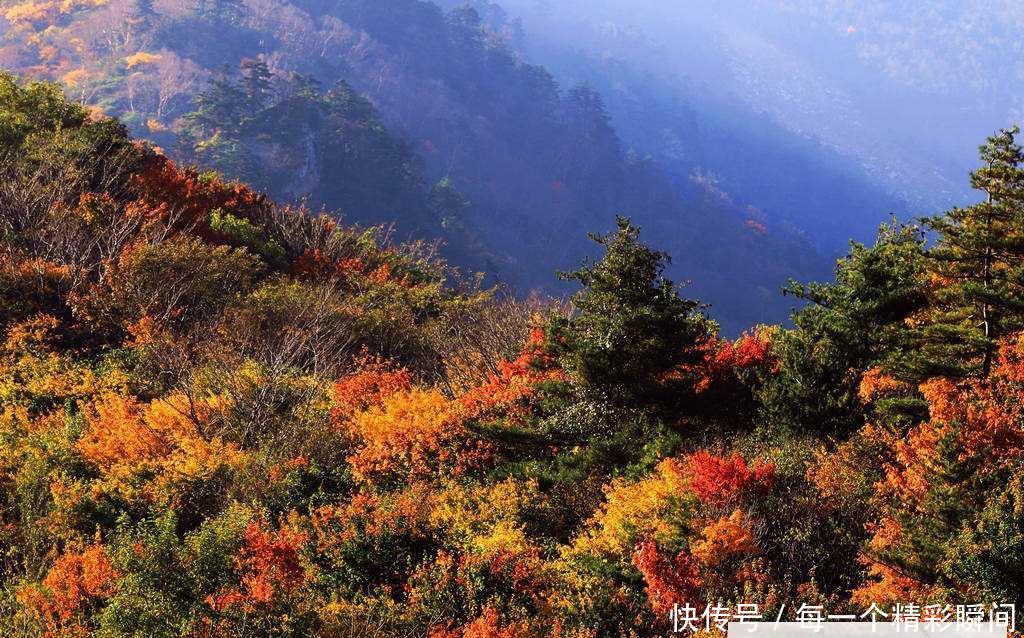 中国广袤的土地上横亘着一条巨龙，不是长江不是黄河，你知道吗？