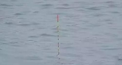  「野外水域」为何野钓没大鱼，不是大鱼没进窝，是开始调漂就出了问题