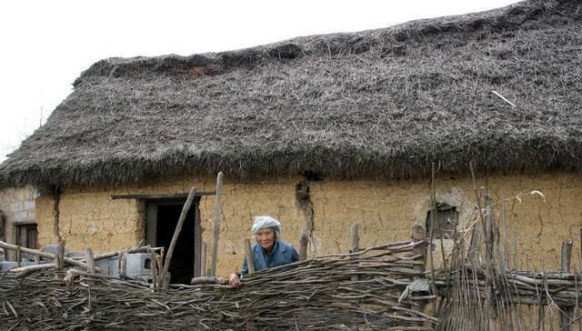  「野味」农村野兔越来越少，想吃野味难上加难，听听老农怎么说