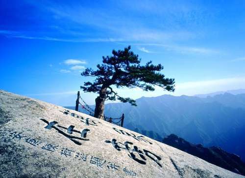 男子突然跳崖，自杀跳崖为啥都选这座山？揭秘华山为啥不能爬三次